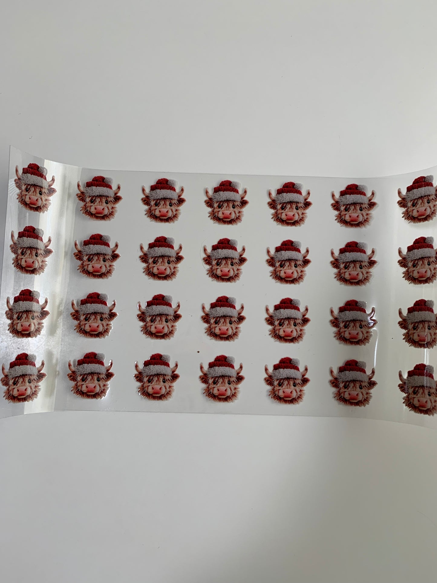 006 Highland Cow (Small)